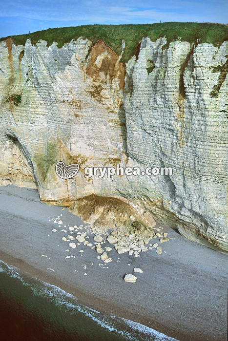 Falaises de craie en cours d'érosion (Etretat) - gryphea.org